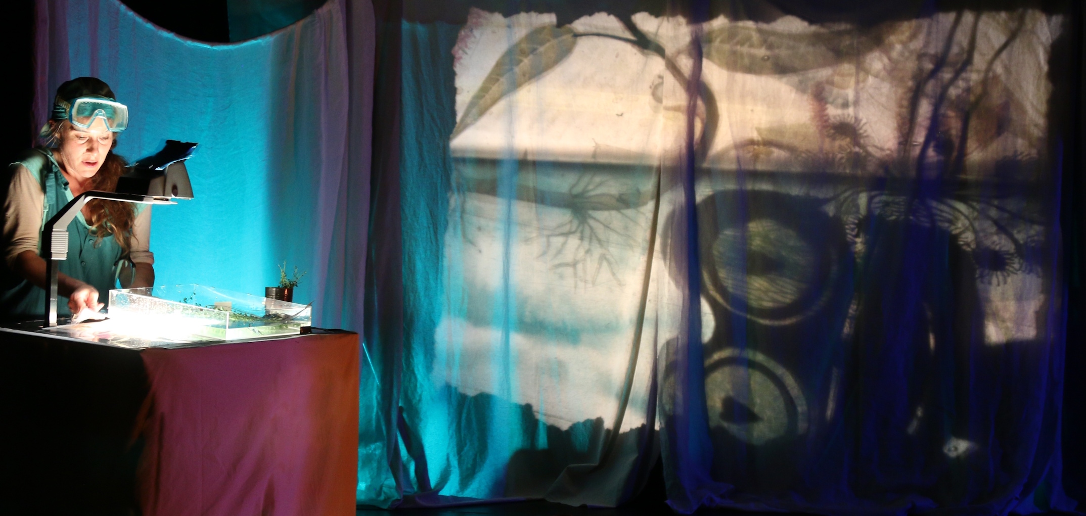 spectacle bleu grenouille