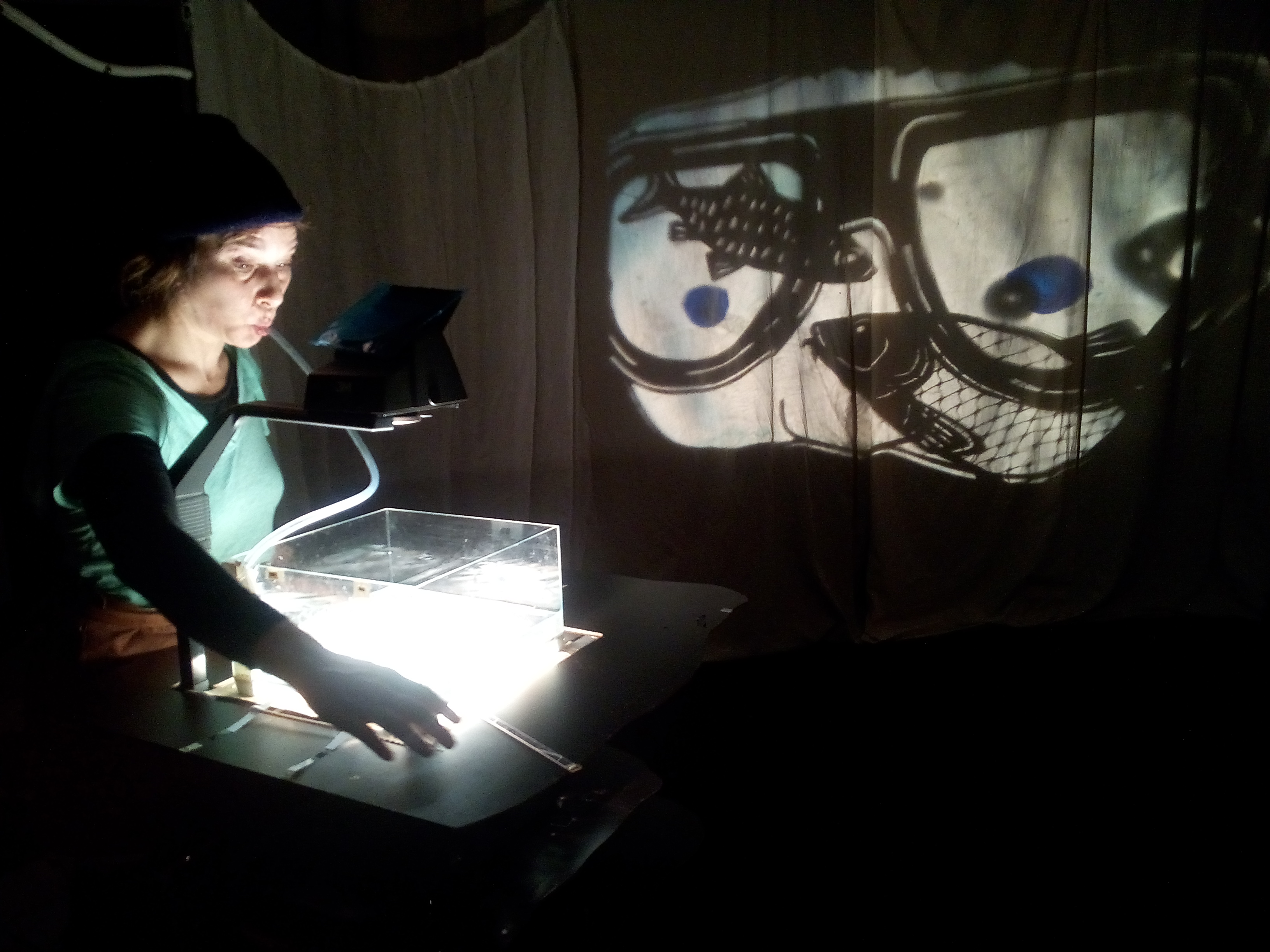 spectacle bleu grenouille