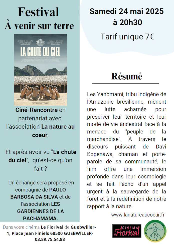 affiche de la projection du film la chute du ciel